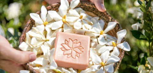 在生態友好的旅途中，愛上泰順 可持續旅游項目開發與管理的探索